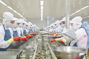 MPC mua cổ phiếu cổ đông nhỏ giá dưới 30.000 đồng/CP